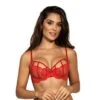 Soutien-gorge Push-up Armatures Rouge